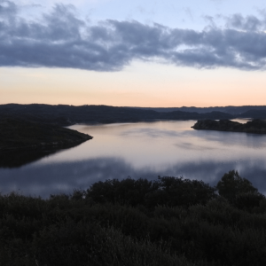 Albufera
