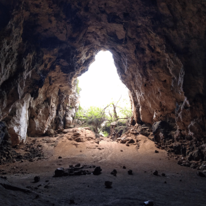 Cova des Coloms