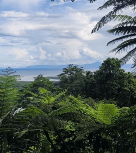 Mirador selva